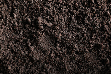 Fresh soil as background, top view. Organic matter