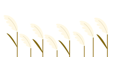 갈대 일러스트