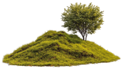 Lush green hill with a solitary tree