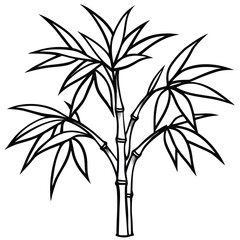 Obraz premium Black And White Line Drawing Of Bamboo Plant With Leaves illustration