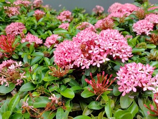 Blooming flower action tropical garden nature capture lush environment close-up view floral beauty