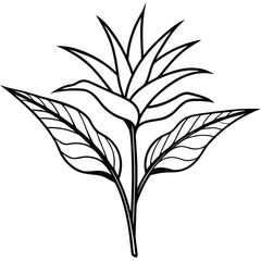 Obraz premium Black and White Outline of a Bird of Paradise Flower with Leaves strelitzia line art