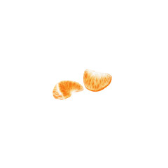 Watercolor illustration of two tangerine slices for seasonal prints, packaging design, greeting cards and textiles.