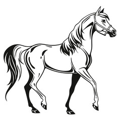 Elegant Arabian Horse Illustration in Black and White Graceful Stallion with Bridle and Flowing Mane a Timeless Depiction