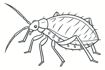 Detailed Line Art Depiction of an Aphid with Long Antennae and Spiked Body in Black and White Style