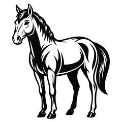 Majestic Stallion Illustration Bold Black and White Artwork Depicting a Muscular Horse with a Flowing Mane and Tail Standing Proudly