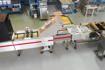 Conveyor line where chicken eggs are marked with, food printer.