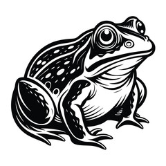 Detailed Black and White Illustration of a Robust Frog, An Amphibian Ready to Leap