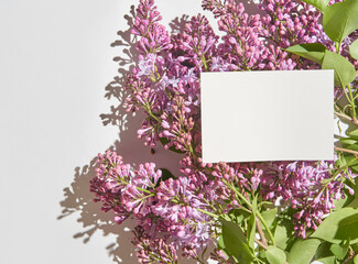 Blank card on lilac flowers arrangement with sunlight shadows on white background.