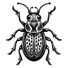 Stylized Black and White Illustration of a Beetle with Intricate Markings and Detailed Legs Showing a Woodcut Style