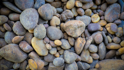 Natural River Rocks Background – Smooth Multicolored Pebbles Texture