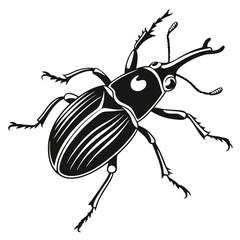 Detailed Vector Illustration of a Stag Beetle Striking a Pose, Isolated on White Background Perfect for Educational or Design Purposes