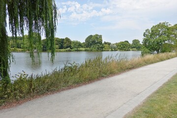 Fototapete bei efototapeten.de bestellen   