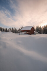 Scenic Lapland nature, where untouched wilderness meets northern lights and endless winter horizons.