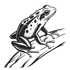 Monochrome Illustration of a Spotted Frog Perched on a Branch Revealing Intricate Patterns and Shading Techniques Used