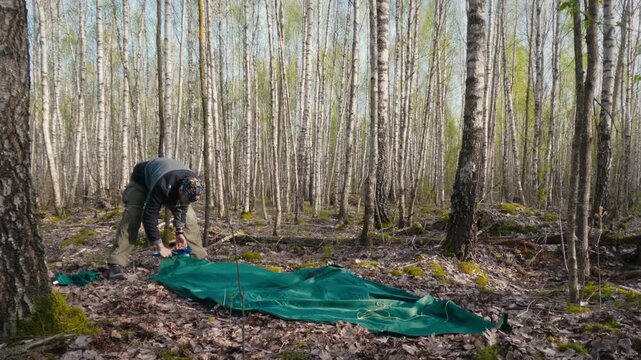 Tourist Setting Up a Tent in Spring Forest Morning