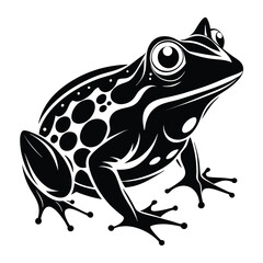 Striking Black and White Frog Illustration A Blend of Nature and Art Depicting Intricate Details and a Unique Aesthetic Appeal