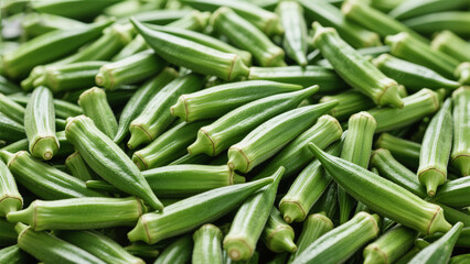Fototapeta premium okra