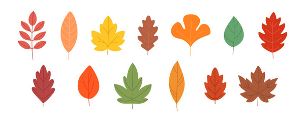 Obraz premium Hand-drawn autumn leaves set. Bright seasonal foliage elements for creative projects, invitations, wallpapers, and harvest-themed illustrations. Flat vector fall collection.