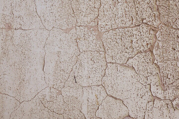 Textured Plaster Wall: A close-up showcases the detailed surface of an aged, cracked plaster wall, revealing a tapestry of textures and a subtle palette of muted.