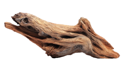 Driftwood piece, intricately formed