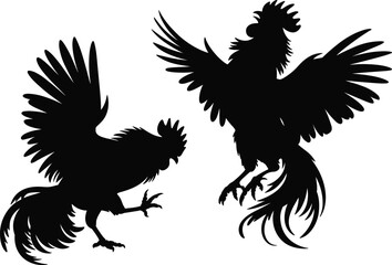 Rooster fighting silhouette illustration, aggressive farm bird vector design, cockfight animal graphic, poultry battle artwork for traditional culture, agriculture, vintage decoration