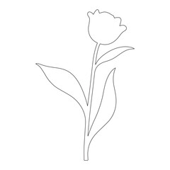 Minimal Flower Line Drawing – Botanical Outline Vector with Leaves