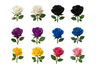Collection of realistic roses in multiple colors isolated on transparent background