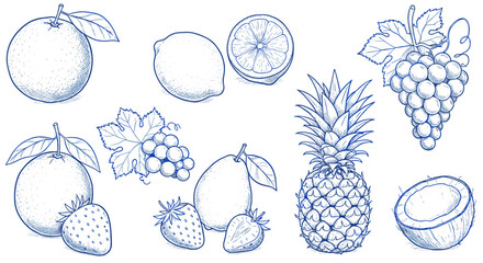 Hand drawn blue sketch of various fruits with leaves