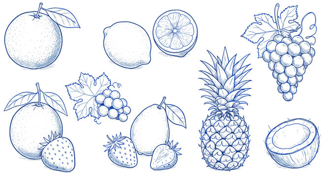 Hand drawn blue sketch of various fruits with leaves