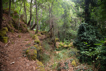 Obraz premium Hiking route in the Ribeira Sacra (Galicia, Spain) following the group of old Xabrega mills to the Sil canyon.