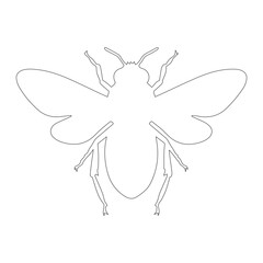 Minimal Fly Line Drawing – Insect Outline Vector for Educational Use