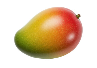 Isolated Fresh Mango Fruit Healthy Tropical Food Snack Sweet Ripe Diet Ingredient