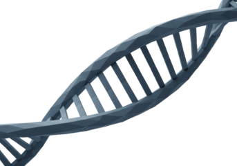 Isolated 3D DNA Strand Representation, Genetic Code, Double Helix Gene Molecular Structure