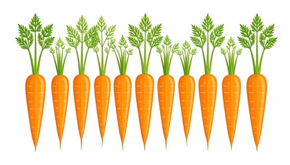 Row of carrots with leaves