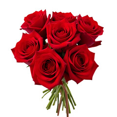 Obraz premium A beautiful bouquet of vibrant red roses with lush green stems isolated on a clean white background, a classic symbol of love and romance