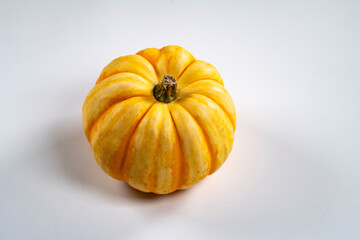 Still life close-up of various pumpkins
