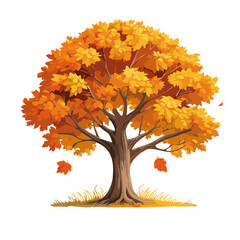 autumn oak tree vector illustration
