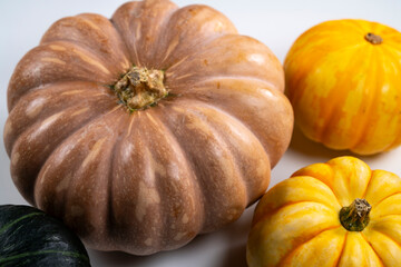 Still life close-up of various pumpkins
