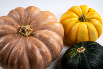 Still life close-up of various pumpkins