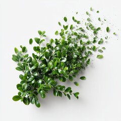 Vibrant green leaves, dispersed on white background