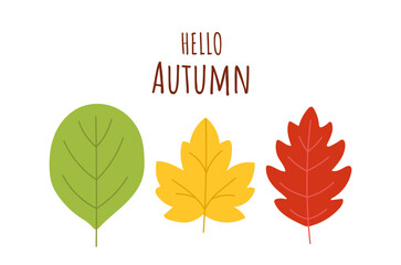 Minimalist hello autumn illustration with three leaves in green, yellow, and red isolated on white background. Beauty of fall, cozy season