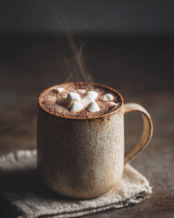Delicious hot chocolate with marshmallow in ceramic mug, steam rising warmly