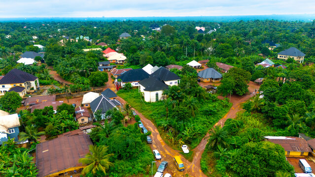 Aerial view of houses with red, brown, and black roofs nestled among lush green trees, creating a vibrant tapestry of nature and architecture,  Okwele Community, Imo State, Nigeria.
