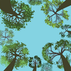 A view from below of the blue sky surrounded by trees stretching upward. Vector illustration. Look up. Place for text