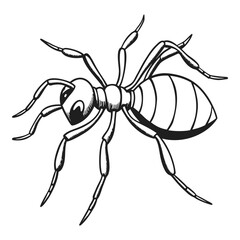 Detailed line drawing of a single ant a tiny insect with six legs and segmented body artistically rendered vector
