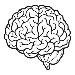 Detailed line art of human brain anatomy featuring intricate gyri and sulci representing thought and intelligence vector