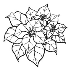 Delicate black and white line art bougainvillea flowers and leaves botanical sketch for artistic projects and nature lovers vector