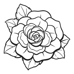 Exquisite camellia flower outline drawing with detailed petals and leaves ideal for tattoo design or floral art projects vector