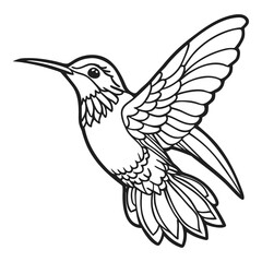 Fototapeta premium Delicate hummingbird in flight detailed line art capturing avian grace and natural beauty for design vector
